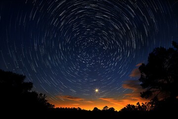 Star Trails Over Forest at Twilight