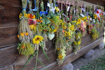 Kolorowe wiosenne kwiaty wiszące do dołu na ścianie starego drewnianego domu na wsi © Lukasz