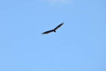 Obraz premium Parc Mauricie Camping Rivière Et Lac À La Pêche Et Isaïe 19 - 20 Mai 2024 