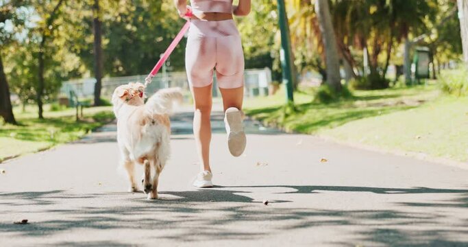Fitness, running and woman walking dog on street in park of neighborhood for training from back. Cardio, exercise and legs of pet owner person with animal companion outdoor in summer for obedience