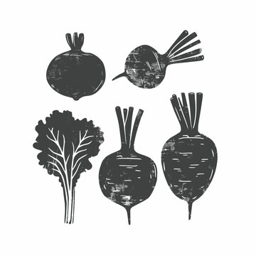 Vector beetroot organic vegetable sketch. Hand drawn style illustration