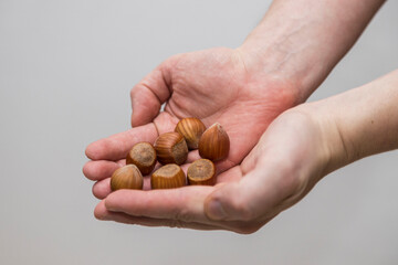 Caucasian man holds a handful of hazelnuts