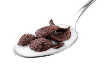 Breakfast cereal. Chocolate corn flakes and milk in spoon isolated on white