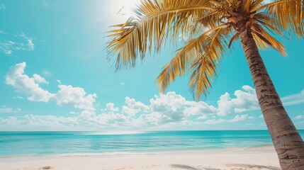 Tropical summer beach sand and beautiful sky with coconut palm tree background