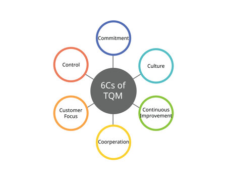 6 Cs Of TQM or Total Quality Management for Commitment, culture, customer focus, Continuous improvement, cooperation, control