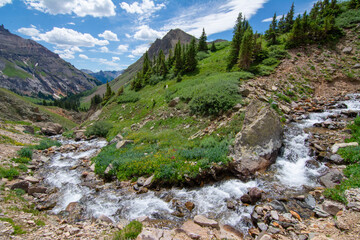 Sneffels Creek in Yankee Boy Basin, Ouray, Colorado