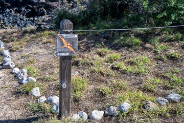 Wooden shearwater habitat sign in a Seabird Nesting Preserve, protected environment for birds with hiking trails for people, birdwatching in Wailea-Makena, Maui, Hawaii
