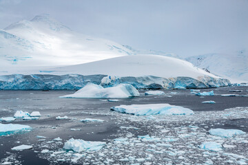 Turquoise Blue Icebergs, Glaciers and Bergy Bits Floating in the Sea Near Adelaide Island,...