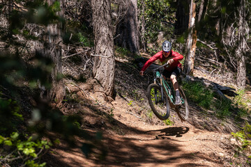 electric mountain bike in the forest