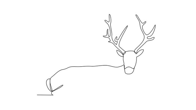 Animated self drawing of a deer was looking for food in a wide meadow video design illustration. Deer wildlife activity illustration in simple linear style video design great concept animal themes.