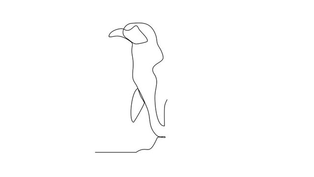 Animated self drawing of a penguin is looking for fish to eat in the arctic area video design illustration. Penguin wildlife activity illustration in simple linear style video design great concept.