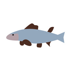 Salmon icon