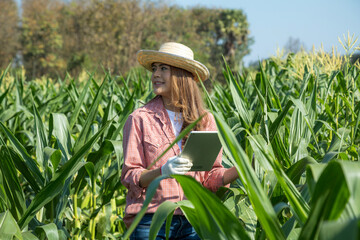 Young woman farmer agronomist using digital tablet for examining and inspecting quality control of produce corn crop. Smart farmer concept