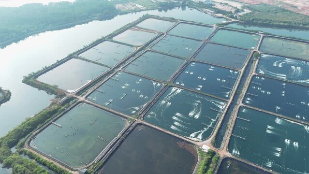 prawn farm with aerator pump in front. Business of raising animals for export. Aquaculture business in Thailand