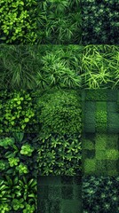 A collection of green plants and foliage