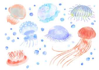 いろいろなクラゲのイラスト　手描き　水彩風 © なよ子