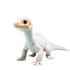 Naklejka premium Baby Dinosaur Photography in Studio