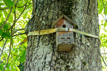 birdhouse tied to a tree with a belt