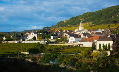 Houses and nature of ancient city Saint-Aubin, Burgundy with famous vineyards