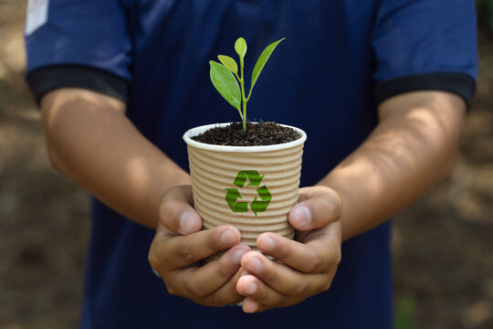 environment Earth Day.The boy's hand holding a paper coffee cup with a recycling icon. To plant trees. Saving the environment, saving a clean planet, ecology concept. sustainable life for the future.