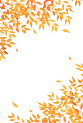 紅葉　葉　秋　背景