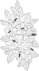 Hibiscus outline illustration in art