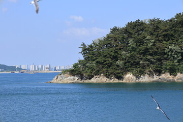 배 위에서 본 풍경