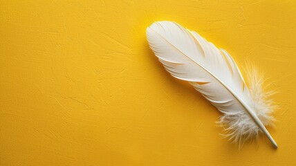 Obraz premium White feather on bright yellow background