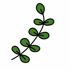 isolated plant leaves design illustration