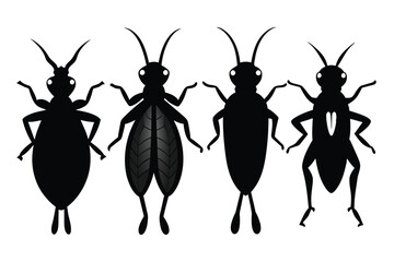 Set of Black African Sugarcane Borer Silhouette Vector on a white background