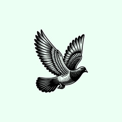 pigeon bird flying in the sky with wide wing vector illustration