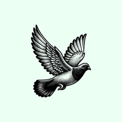 pigeon bird flying in the sky with wide wing vector illustration