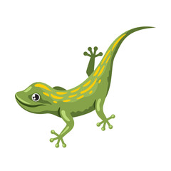 lizard small reptile