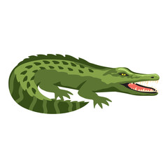 crocodile predatory reptile