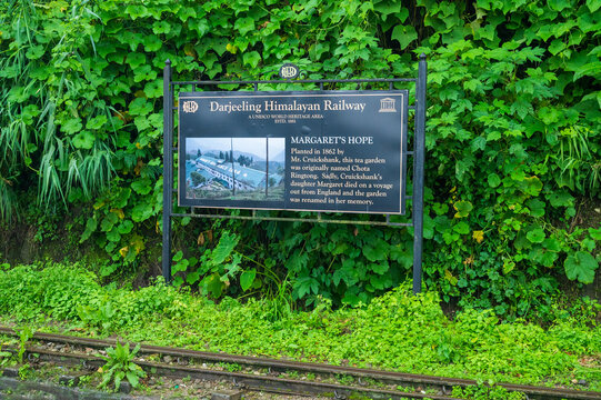 Darjeeling, West Bengal, India - 10th August 2023 : Sign board of Margaret's Hope with historical details about old Darjeeling tea garden, Himalayan mountains and green forest. Scenic natural beauty.