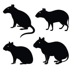 Set of Black Agouti Silhouette Vector on a white background