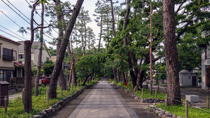 Obraz premium 寺院への参道