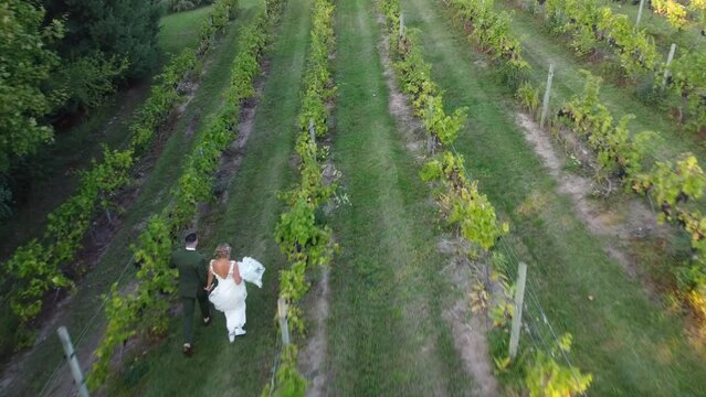 Bride and groom running through a vineyard