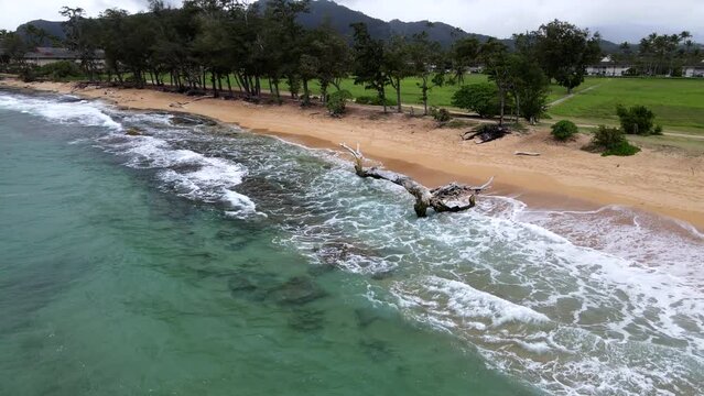 Aerial Turn Around Driftwood on Kauai Beach with Waves and Mountains on Moody Day