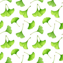 Ginkgo biloba green leaf seamless pattern. Watercolor painted botanical illustration. Hand drawn ginkgo leaves seamless pattern. Medicinal plant leaf natural element . White background