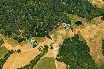 Aerial view of terraced rows of plants in farm fields, vineyards, and the agricultural towns of norther California