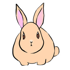 うさぎが座っているイラスト
