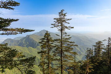 Naklejka premium Wawushan National Forest Park, Meishan city, Sichuan province, China