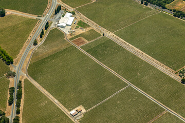 Aerial view of green rows of plants in farm fields, vineyards, and the agricultural towns of norther California