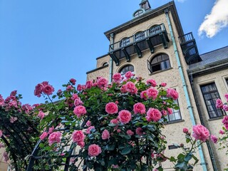 the beautiful rose garden and Western-style building in Tokyo, Japan