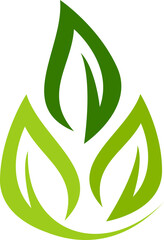 Nature Leaf Icon Element