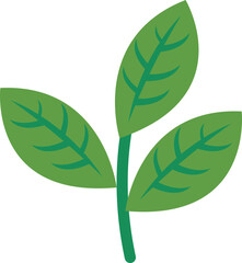 Tropical Leaf Illustration Element