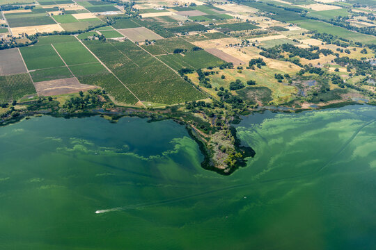 Aerial view of the polluted green waters of Clear Lake and the environmental effects of agricultural runoff causing algae blooms