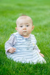 Portrait of Infant Sitting Upright in Grass with Bokeh Background
