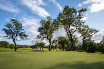 Great approach shot, golf ball next to yellow pin flag on green, tropical golf vacation, Maui,...